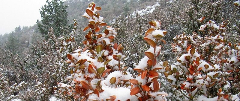 Schnee in den Pyrenäen